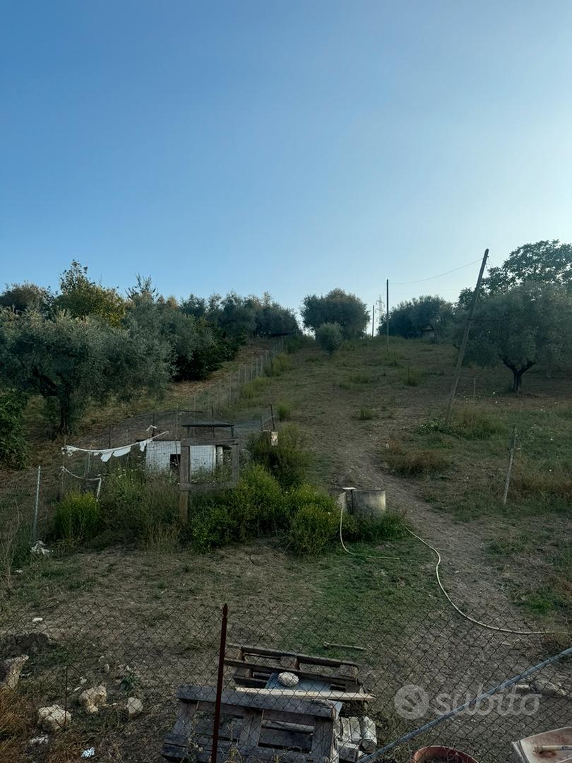 House in Roma, Tor di Quinto, Municipio Roma XV - Vista 4