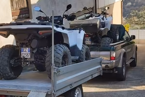 Carrello zincato