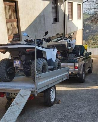 Carrello zincato