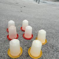 Abbeveratoi per pulcini
