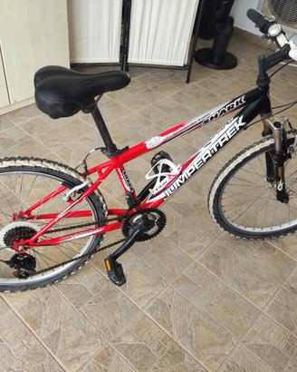 Bicicletta MTB bambini