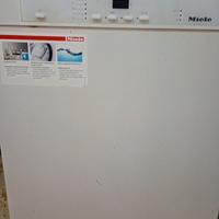 lavastoviglie miele 