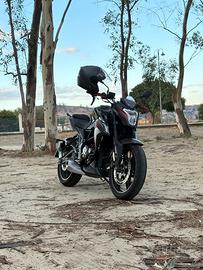 Voge Brivido 300 - 2022