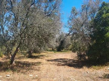 Terreno marina di Andrano