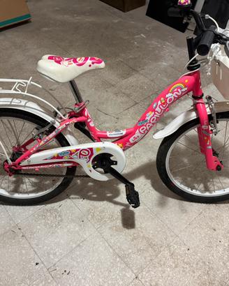 Bicicletta