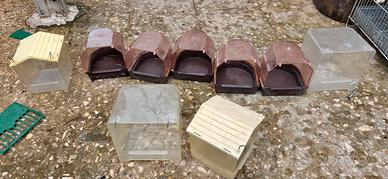bagnetto per uccelli 