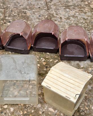 bagnetto per uccelli 