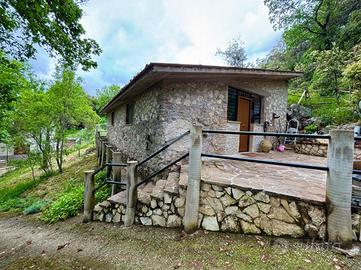 CASA INDIPENDENTE A CALVI DELL'UMBRIA