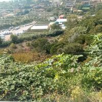 Pianura Via Angogna Rif.123T