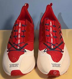 Nike zm Pegasus/Gyakusou