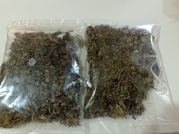 Acquario mangimi caridine gamberetti e granchi