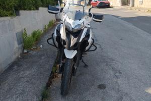 Benelli trk502x