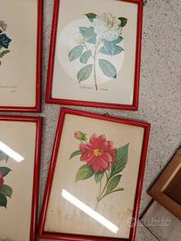 quadri floreali con cornice