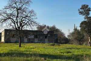RUSTICO A FRANCAVILLA FONTANA