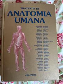 Anastasi Anatomia Umana Quarta Edizione 3 volumi