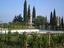 Immagine 5