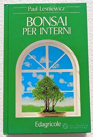 Bonsai per interni