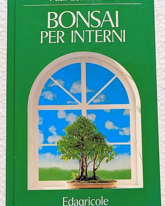 Bonsai per interni