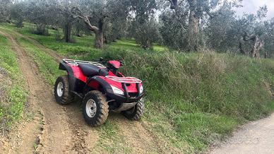 Quad Honda rincon