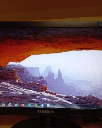 Monitor 19 pollici Samsung