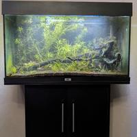 Acquario Juwel rio 125