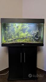 Acquario Juwel rio 125