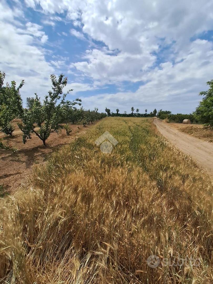 TER. AGRICOLO A VILLA LITERNO - Vista 5
