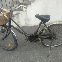 Bicicletta da donna Dei