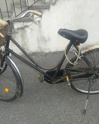 Bicicletta da donna Dei