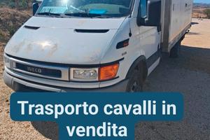 trasporto cavalli