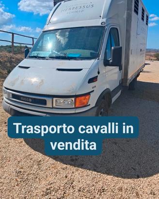 trasporto cavalli