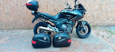 YAMAHA TDM 900 2004