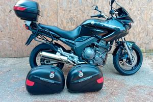 YAMAHA TDM 900 2004