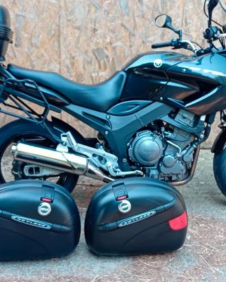 YAMAHA TDM 900 2004