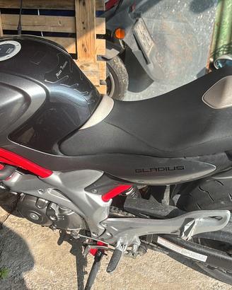 Suzuki Gladius 650
