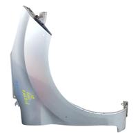 PARAFANGO ANTERIORE DESTRO FORD Fiesta 6a Serie (0