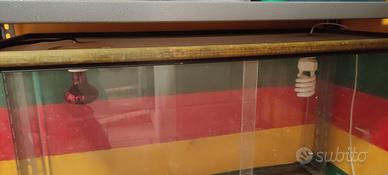 teca per rettili CREAS 