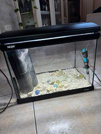 Acquario completo – 50€ trattabili