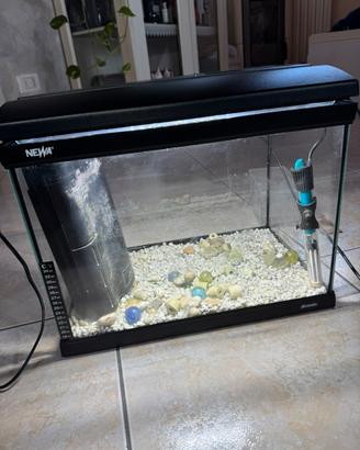 Acquario completo – 50€ trattabili