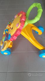 Leoncino primi passi