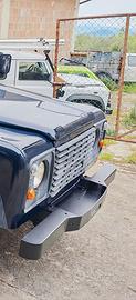 PARAURTI PORTA VERRICELLO DEFENDER