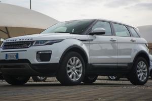 Land Rover Range Evoque 2.0 TD4 150 CV 5p. Busines