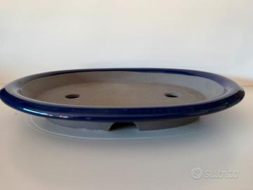 Vaso bonsai ovale