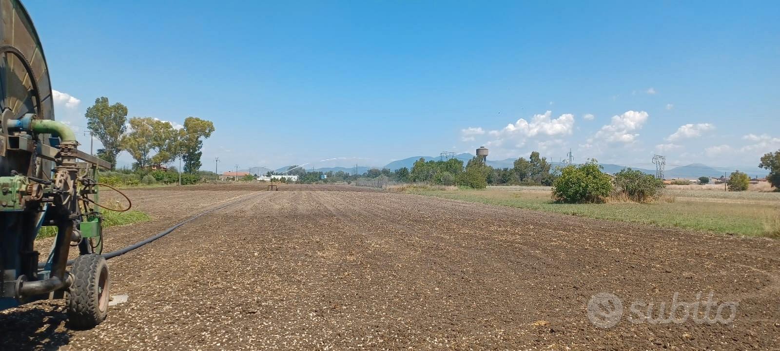 Terreno agricolo - Vista 4