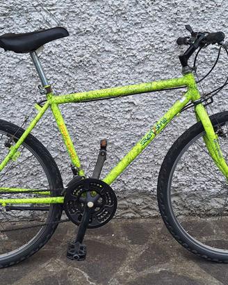 Bici Mtb