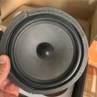 Coppia woofer focal polyglass