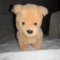 Piccolo cagnolino di peluche