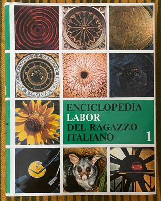 ENCICLOPEDIA LABOR DEL RAGAZZO ITALIANO 11 VOLUMI