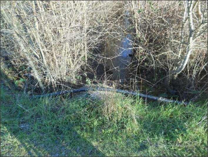 Terreno Agricolo a Latina - Vista 4