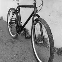 mountain bike semplice non ammortizzata